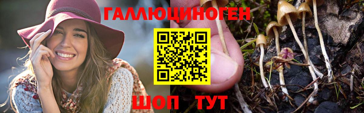 Псилоцибиновые грибы мицелий Саранск